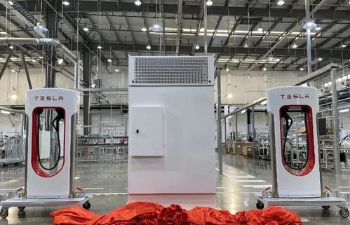 2021年新能源汽車市場(chǎng)展望 1月銷量翻倍增長(zhǎng)與電熔鎂生產(chǎn)的潛在影響